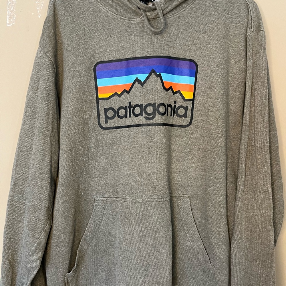 Patagonia 100% Organic Cotton Gray Hoodie Men’s Large